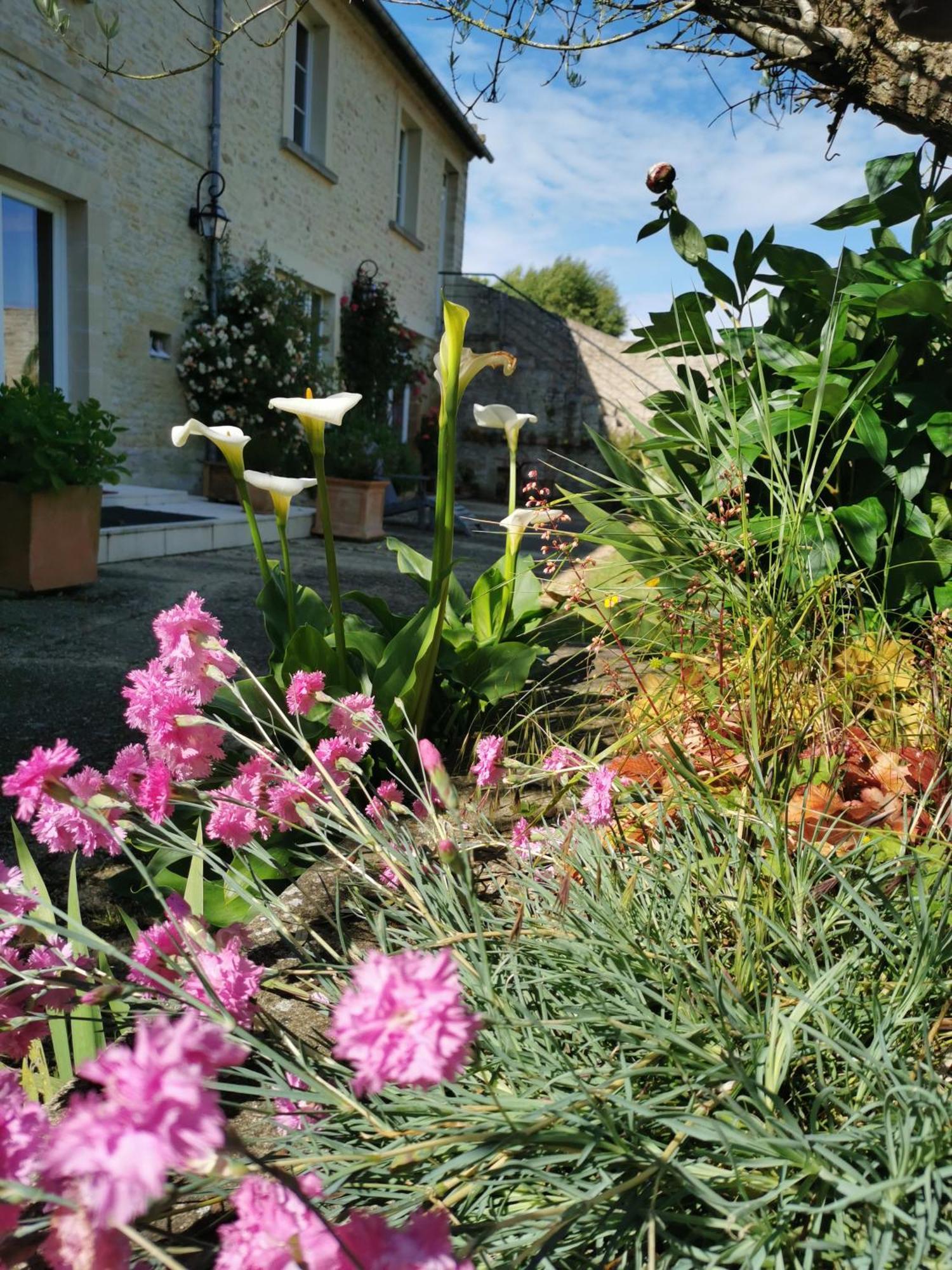 Chambre De L'Iris Sainte-Croix-sur-Mer Exteriér fotografie