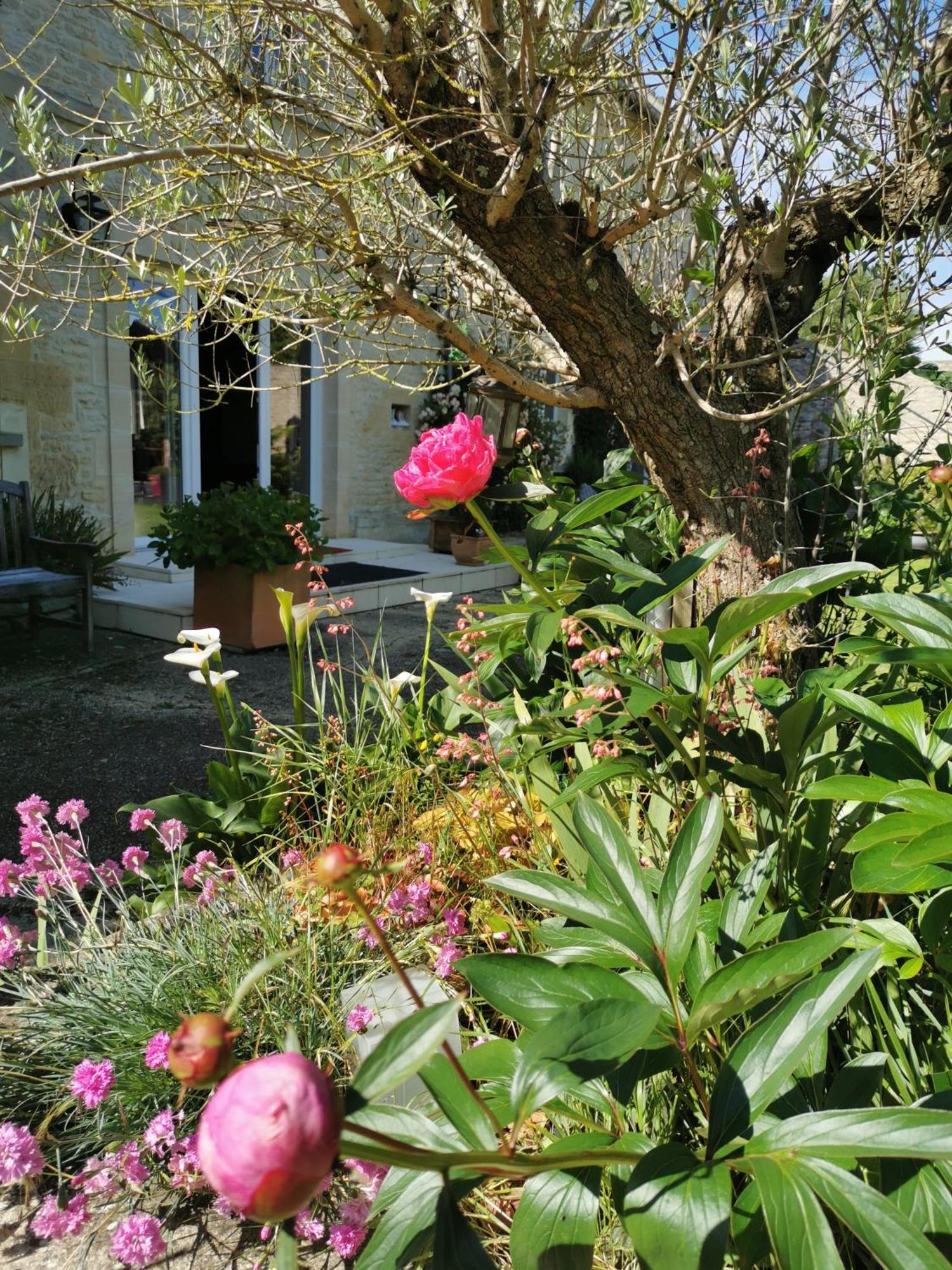 Chambre De L'Iris Sainte-Croix-sur-Mer Exteriér fotografie